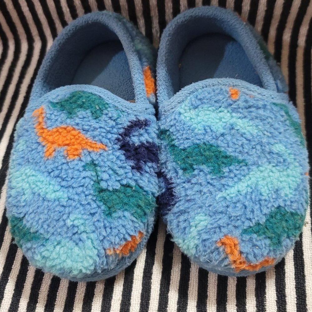 Wonder Nation Dino Slippers